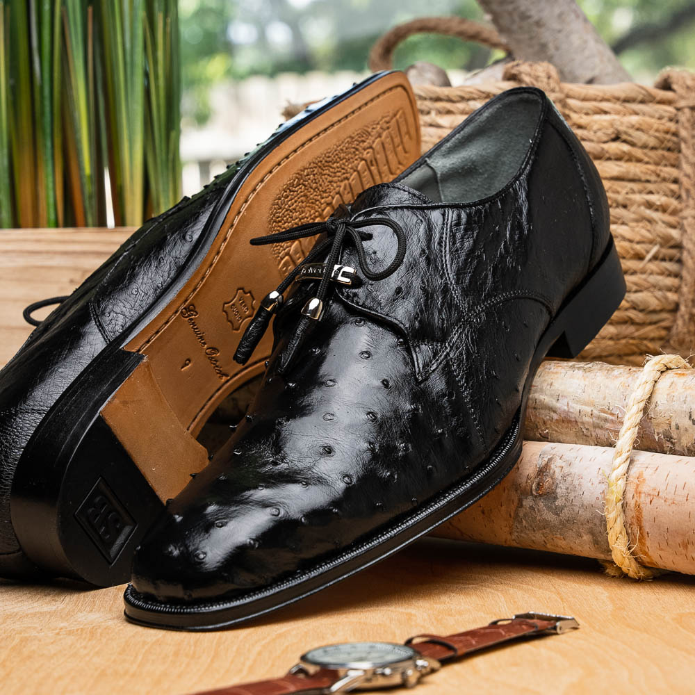Belvedere Isola Ostrich Quill Dress Shoes Black | MensDesignerShoe.com